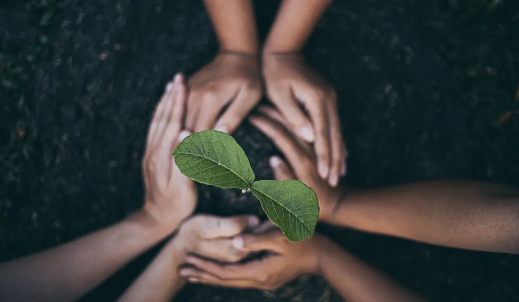 How to lead a sustainable lifestyle