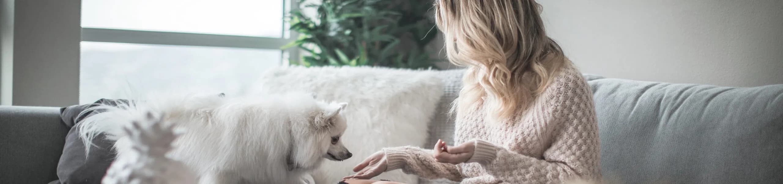 Descubre las ventajas de Be Casa