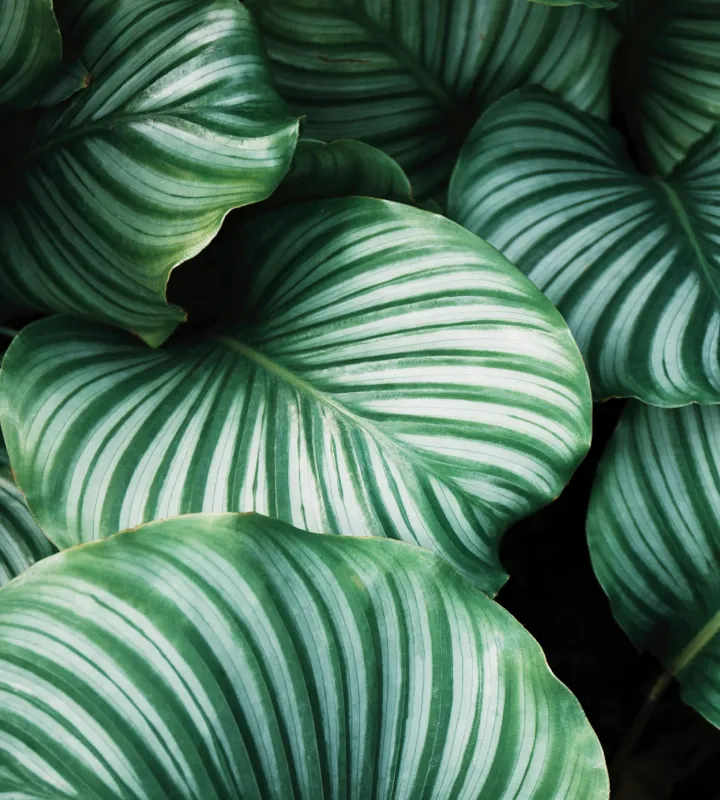 Nuestro compromiso con el medio ambiente